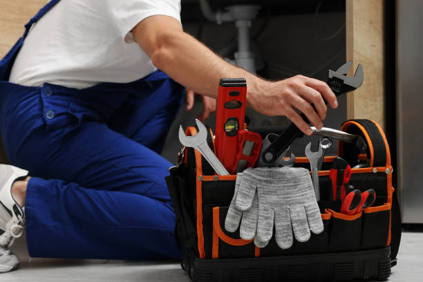 Best Clogged Drain Plumber  in Plymouth, MN
